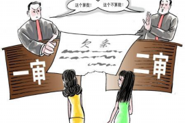 振兴振兴讨债公司服务